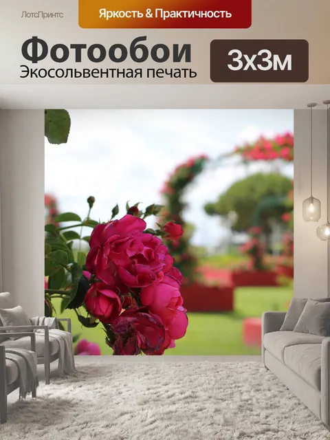 Фотообои Роза