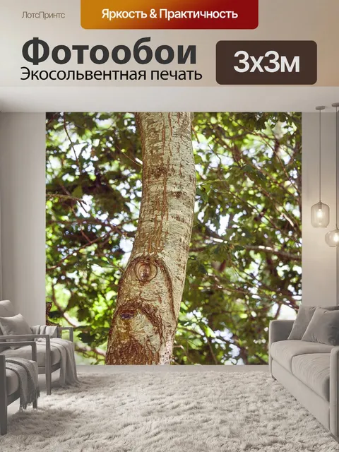 Фотообои Ствол дерева в лесу