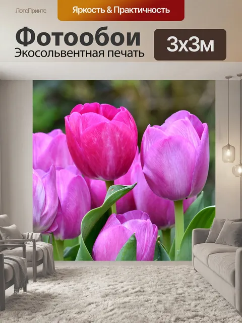 Фотообои Тюльпаны