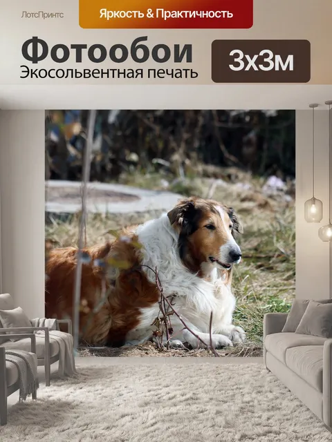 Фотообои Животное