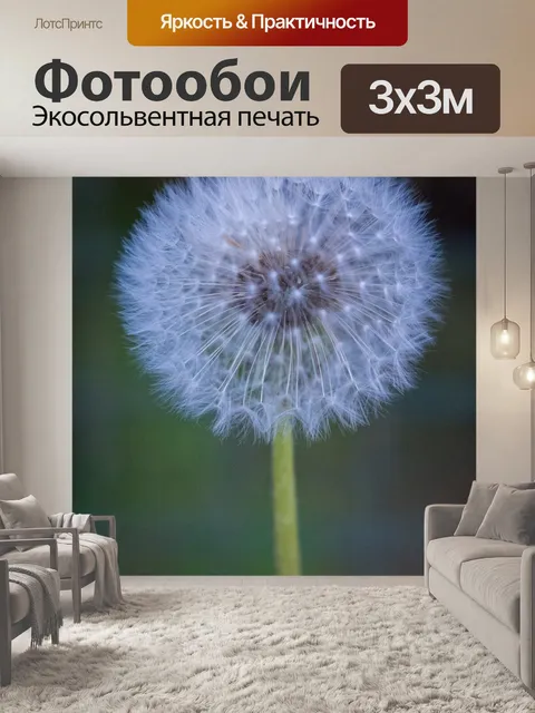 Фотообои Одуванчик