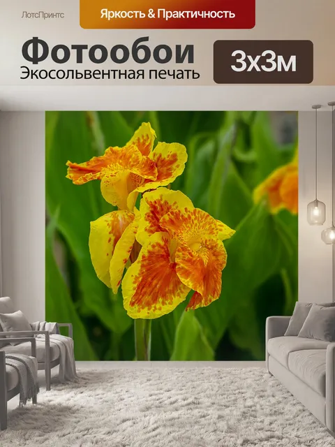 Фотообои Цветы