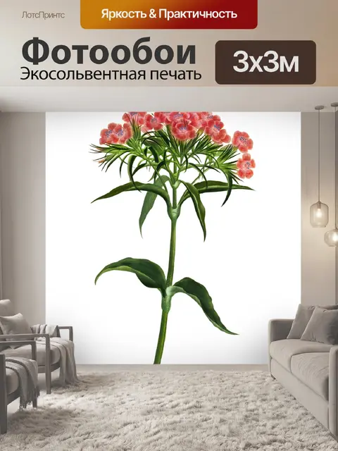 Фотообои Винтажный клипарт арт цветок