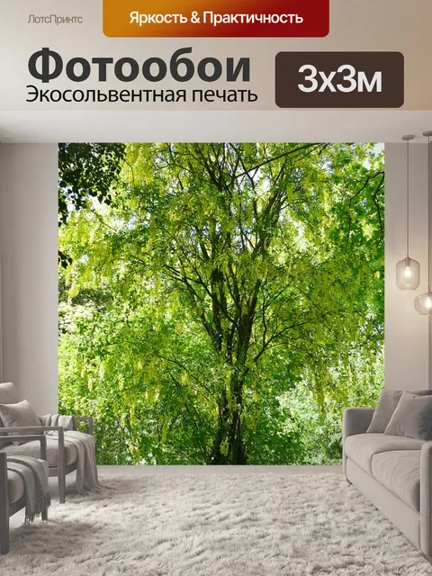 Фотообои Дерево