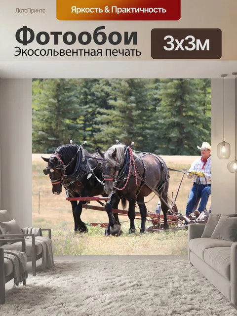 Фотообои Лошади