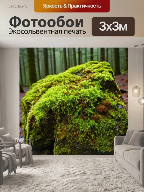 Фотообои текстура поверхности мха на камнях в лесу