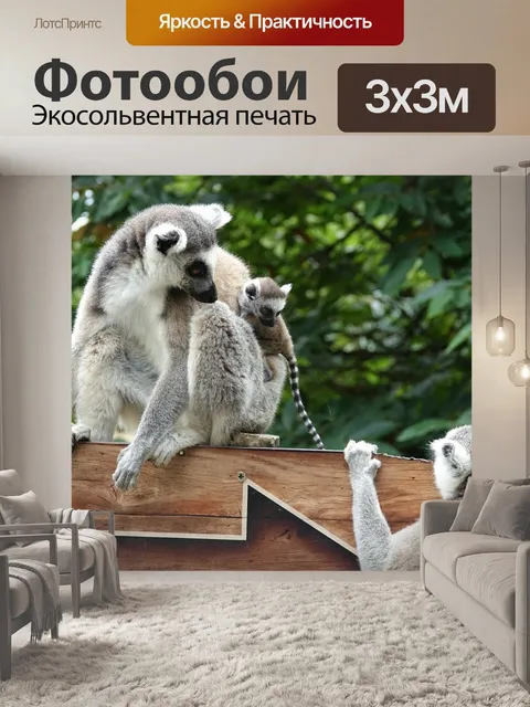 Фотообои Зоопарк