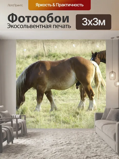 Фотообои Лошади