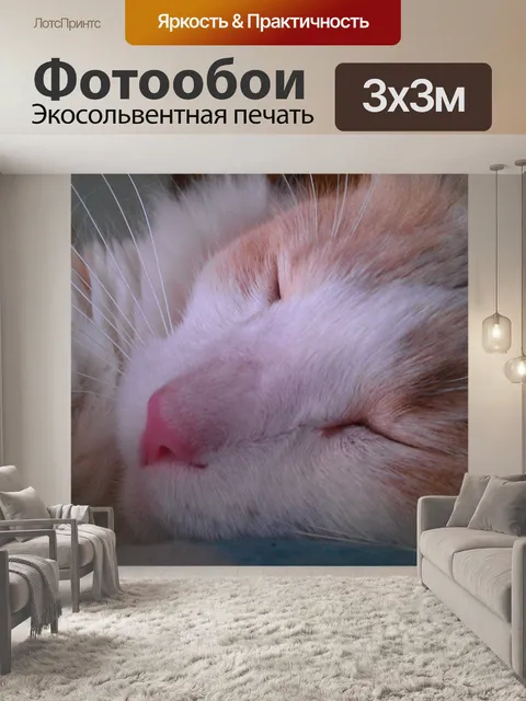Фотообои Кошка
