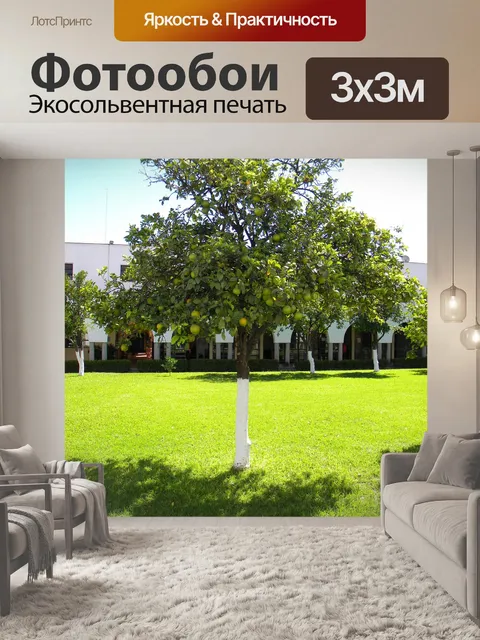 Фотообои Деревья