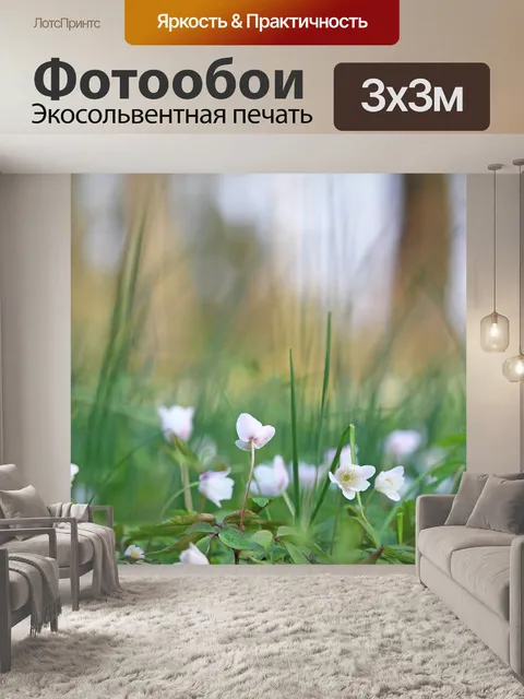 Фотообои Древесные анемоны