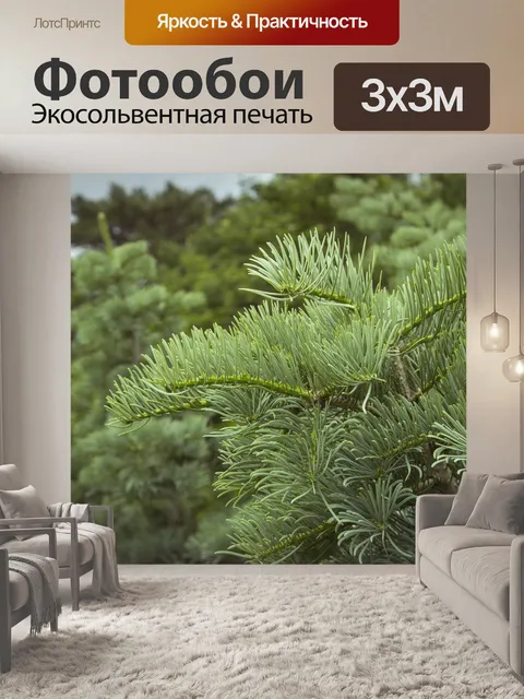 Фотообои Дерево