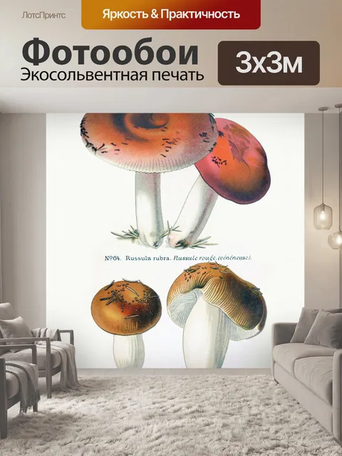 Фотообои Грибы винтаж арт старый