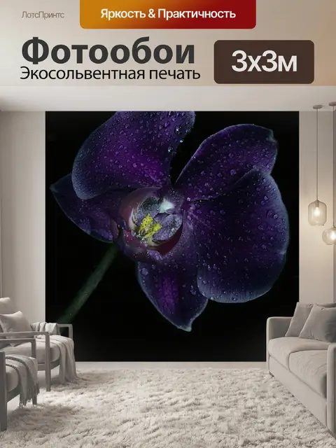 Фотообои Орхидея