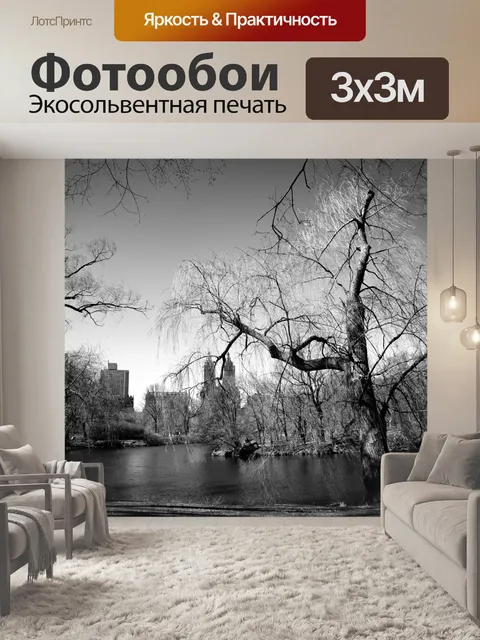 Фотообои Центральный парк, Нью-Йорк
