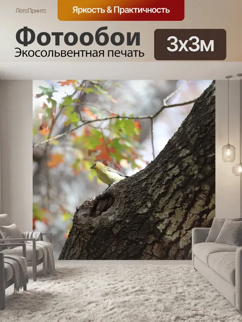 Фотообои Птица