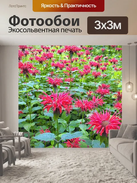 Фотообои Красные цветы