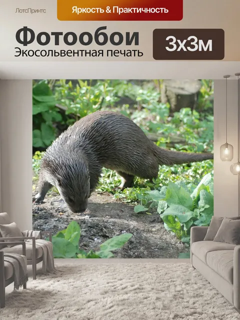 Фотообои Выдра