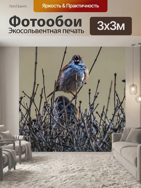 Фотообои Воробьи