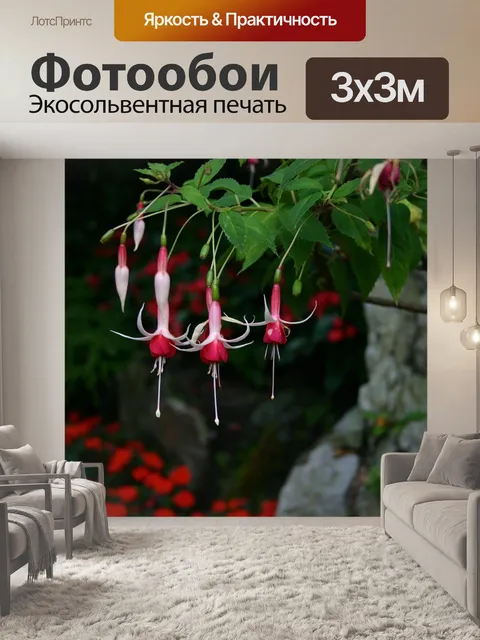 Фотообои Фуксия