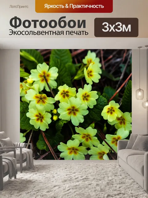 Фотообои Цветок