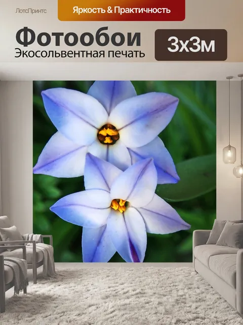 Фотообои Цветы