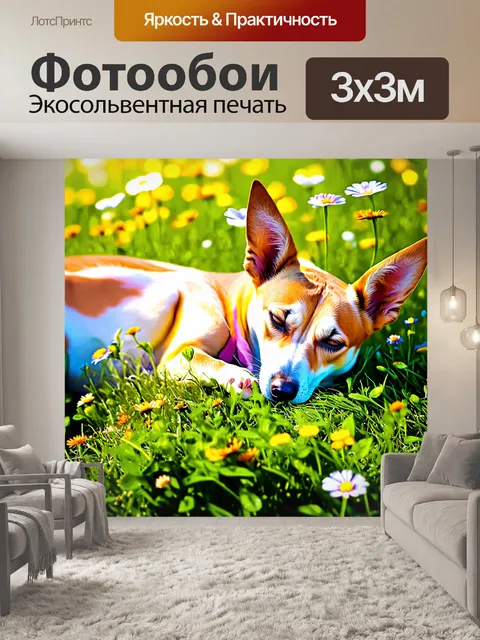 Фотообои басенджи, мирно спящий в траве, окружённый дикими цветами
