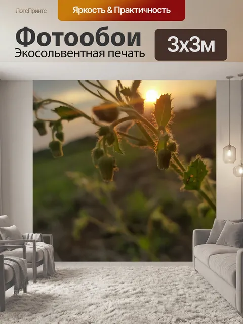Фотообои Цветы