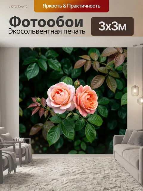 Фотообои Нежные персиковые розы в саду