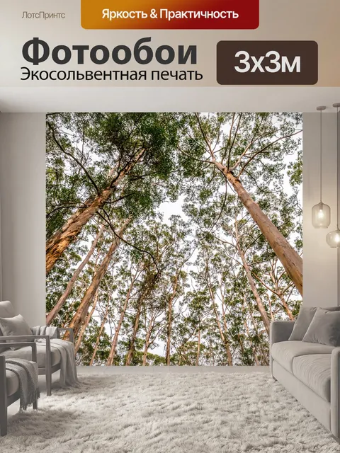 Фотообои Деревья