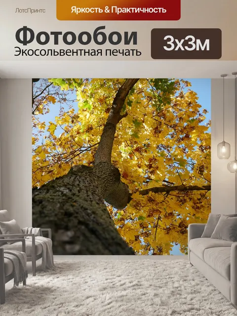 Фотообои Осень