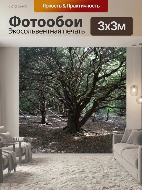 Фотообои Дерево