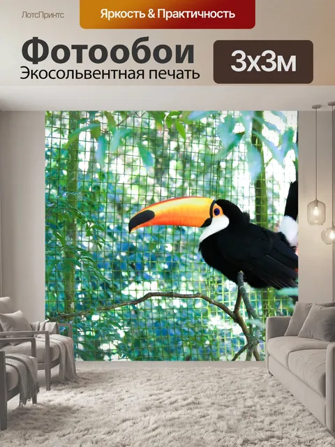 Фотообои Тукан