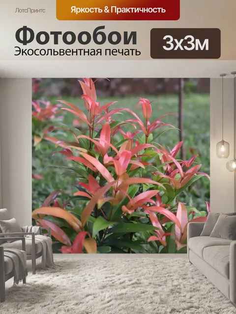 Фотообои Сад