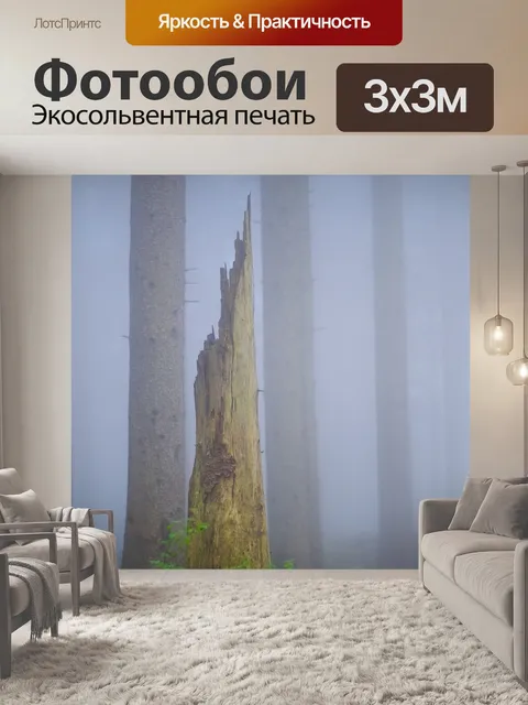 Фотообои Лес