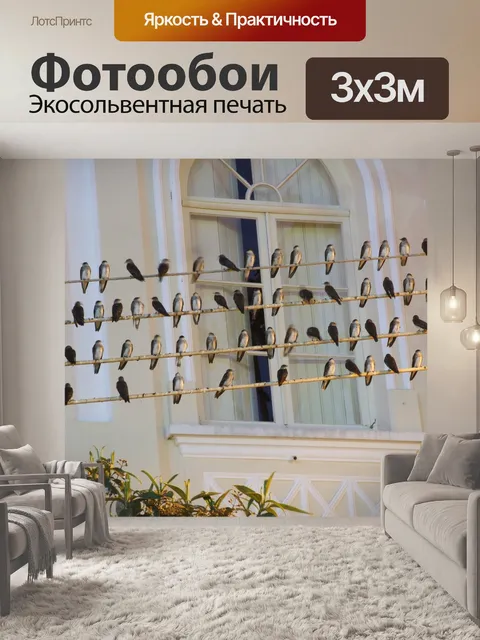 Фотообои Ласточки