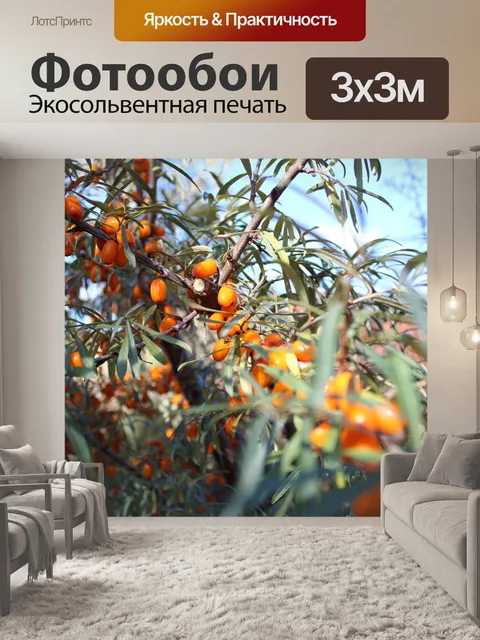 Фотообои Ягода