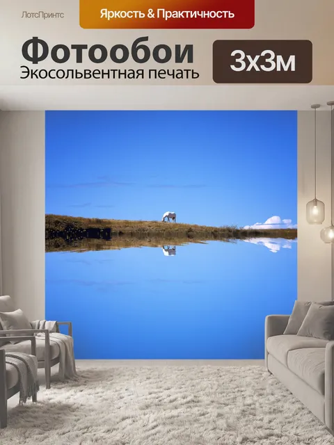 Фотообои Лошадь
