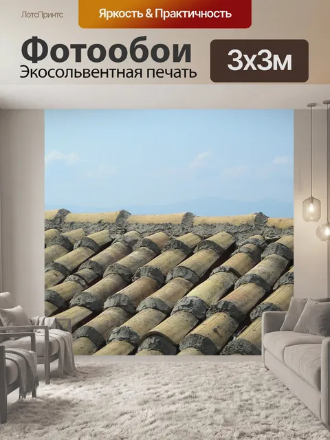Фотообои Крыша