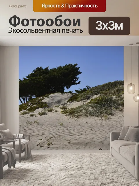 Фотообои Дерево в песчаной дюне