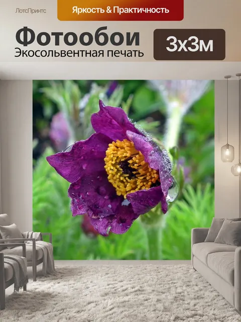Фотообои Природа