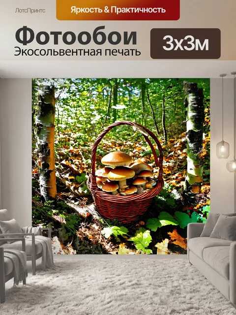 Фотообои грибник аккуратно исследует подлесок