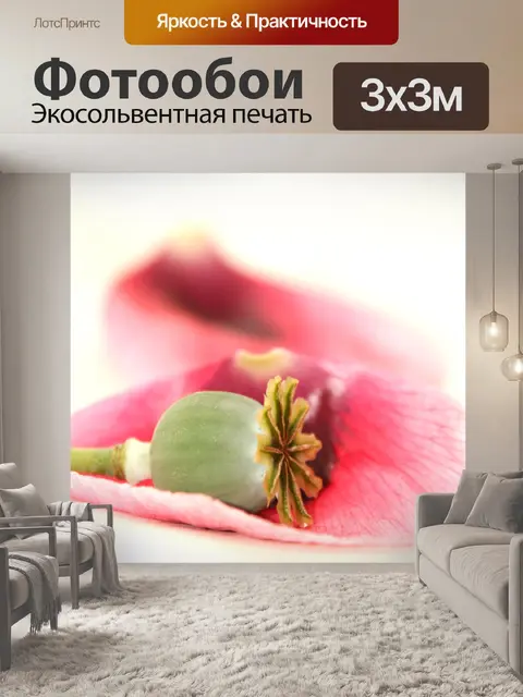 Фотообои Мак