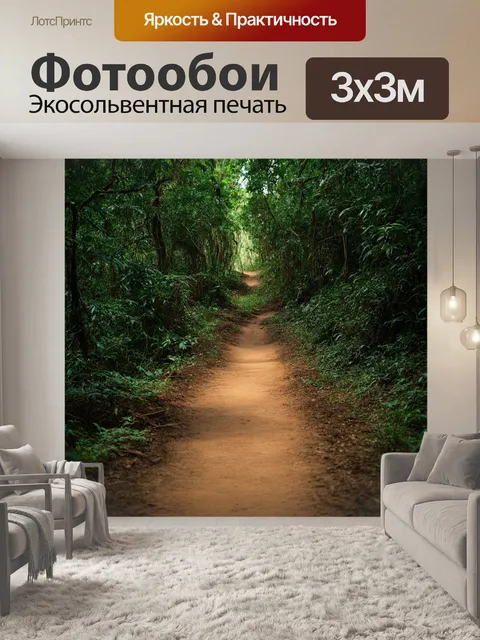 Фотообои джунгли в стиле минимализм: старая тропа с очень простыми формами