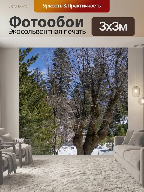 Фотообои снежное поле