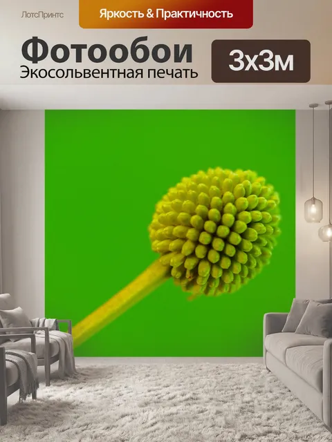Фотообои Зеленое семя Белый цветок попинака