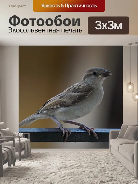 Фотообои Птицы