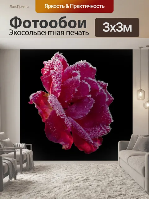 Фотообои Роза