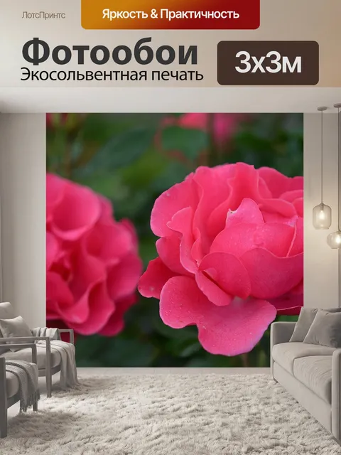 Фотообои Розы