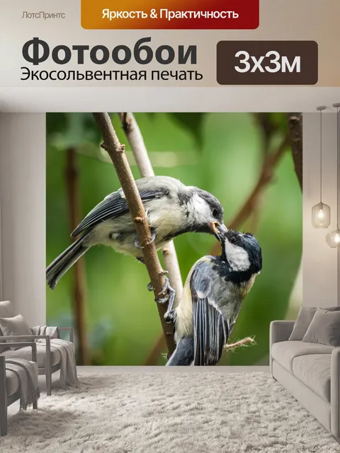 Фотообои Природа
